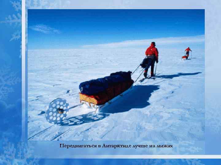 Передвигаться в Антарктиде лучше на лыжах 