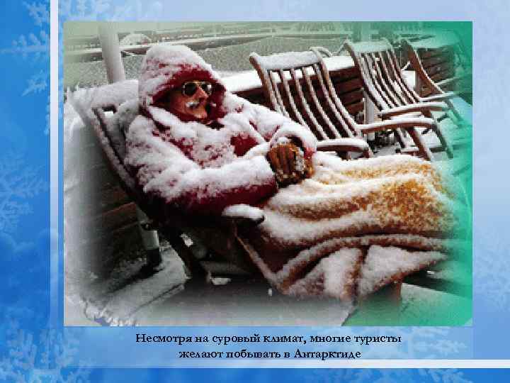 Несмотря на суровый климат, многие туристы желают побывать в Антарктиде 