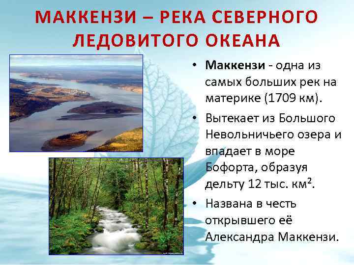 МАККЕНЗИ – РЕКА СЕВЕРНОГО ЛЕДОВИТОГО ОКЕАНА • Маккензи - одна из Маккензи самых больших