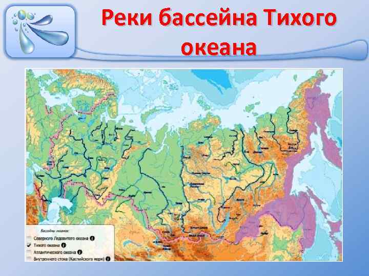 Реки бассейна Тихого океана 