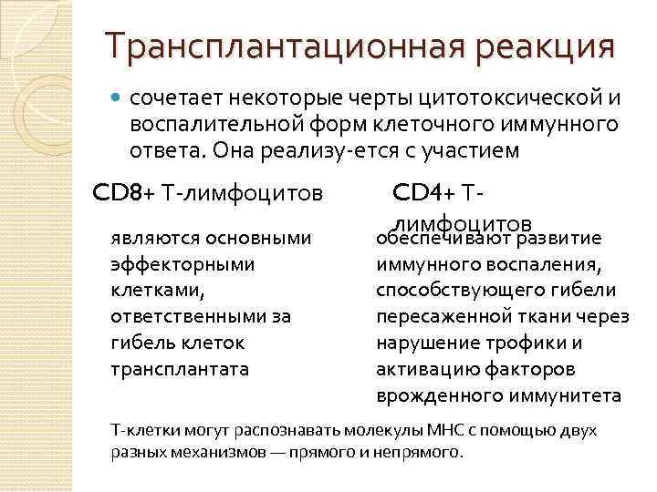 Основные формы иммунного реагирования