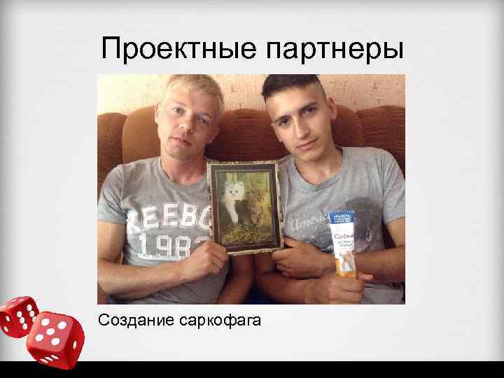 Проектные партнеры Создание саркофага 