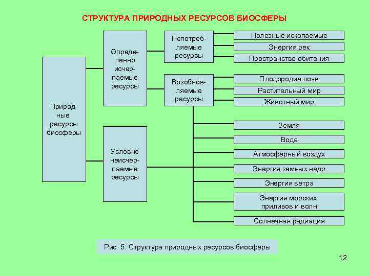 Ресурсы биосферы рекреационные и другие виды ресурсов схема