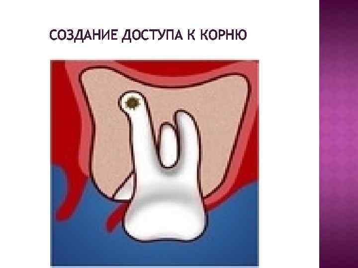 СОЗДАНИЕ ДОСТУПА К КОРНЮ 