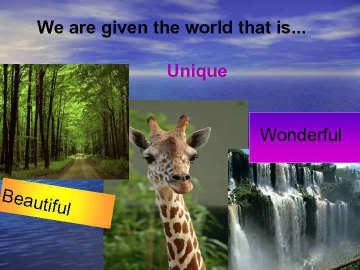 We are given the world that is. . . Unique Wonderful Beaut iful 