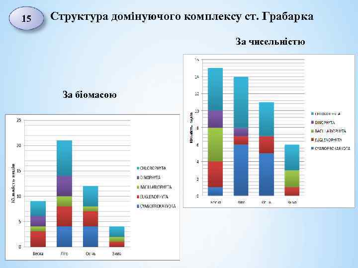 15 Структура домінуючого комплексу ст. Грабарка За чисельністю За біомасою 