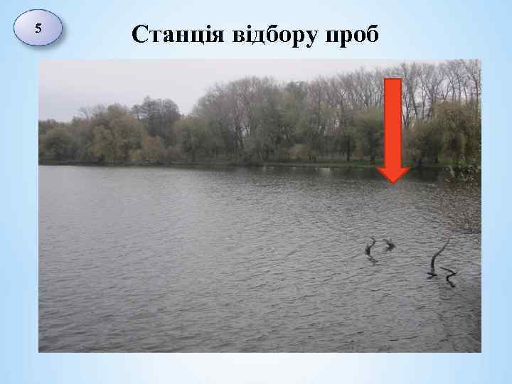 5 Станція відбору проб 