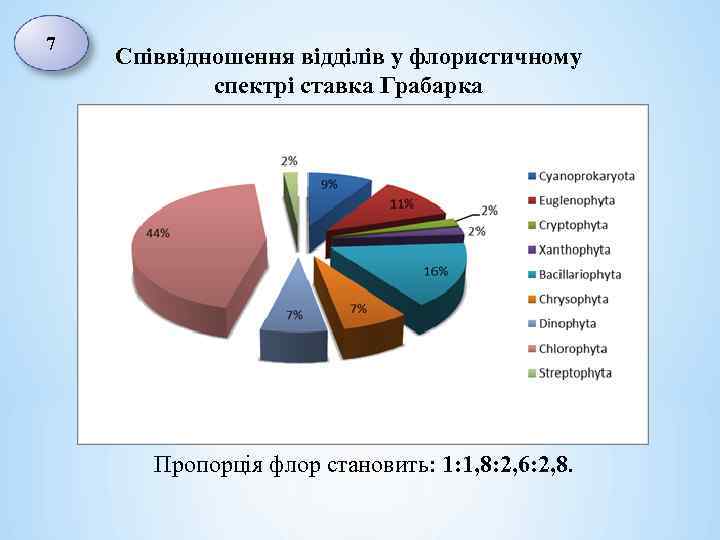 7 Співвідношення відділів у флористичному спектрі ставка Грабарка Пропорція флор становить: 1: 1, 8: