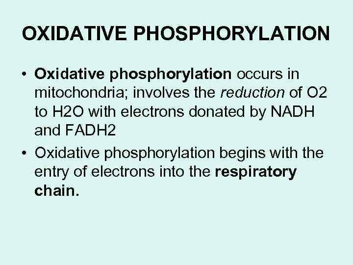 OXIDATIVE PHOSPHORYLATION • Oxidative phosphorylation occurs in mitochondria; involves the reduction of O 2