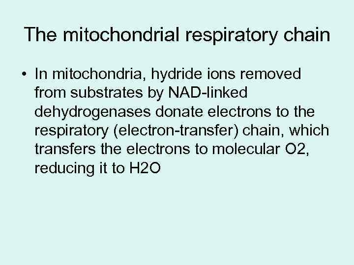 The mitochondrial respiratory chain • In mitochondria, hydride ions removed from substrates by NAD-linked