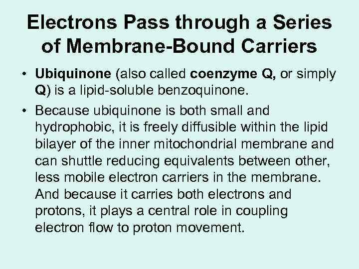 Electrons Pass through a Series of Membrane-Bound Carriers • Ubiquinone (also called coenzyme Q,