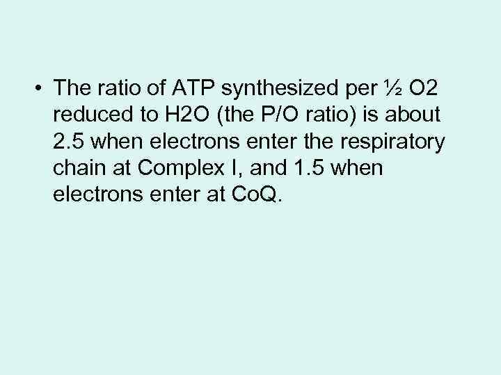  • The ratio of ATP synthesized per ½ O 2 reduced to H