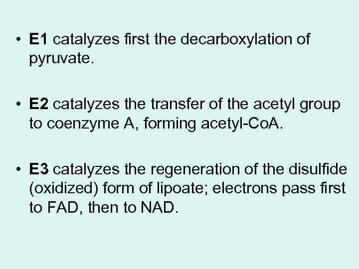  • E 1 catalyzes first the decarboxylation of pyruvate. • E 2 catalyzes