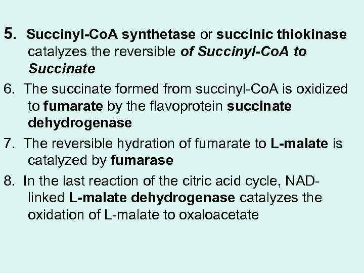 5. Succinyl-Co. A synthetase or succinic thiokinase catalyzes the reversible of Succinyl-Co. A to