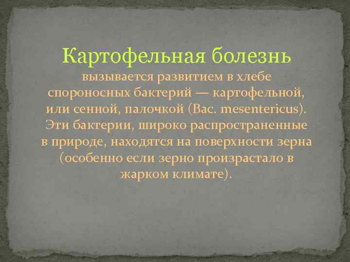 Картофельная болезнь вызывается развитием в хлебе спороносных бактерий — картофельной, или сенной, палочкой (Вас.