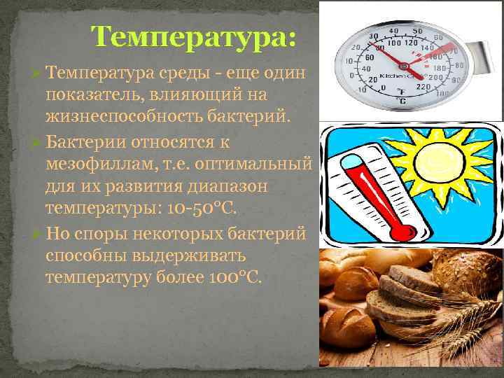 Температура: Ø Температура среды - еще один показатель, влияющий на жизнеспособность бактерий. Ø Бактерии