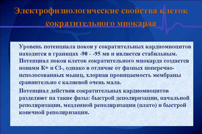 Электрофизиологические свойства клеток сократительного миокарда • Уровень потенциала покоя у сократительных кардиомиоцитов • находится