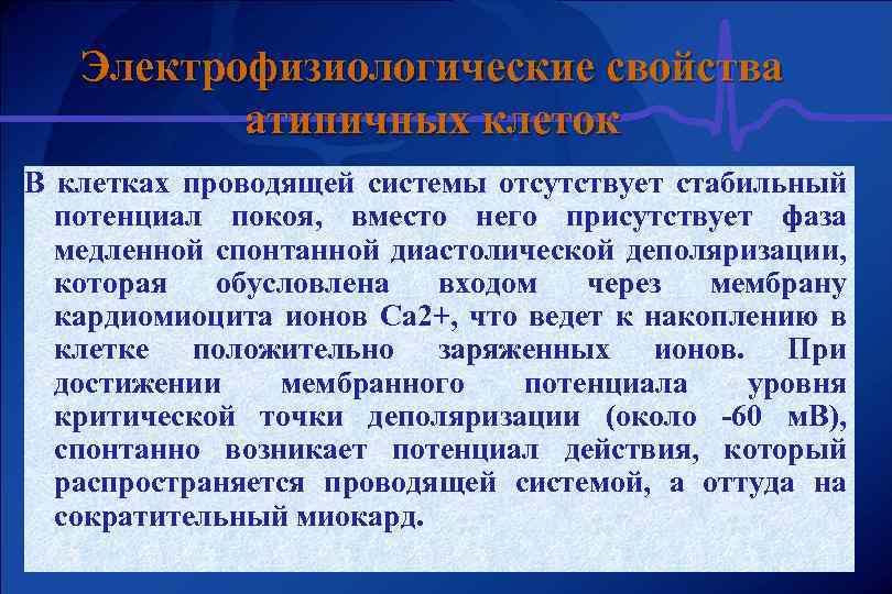 Электрофизиологические свойства атипичных клеток В клетках проводящей системы отсутствует стабильный потенциал покоя, вместо него