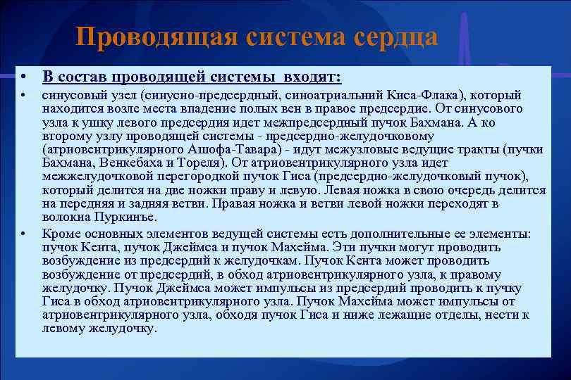 Проводящая система сердца • В состав проводящей системы входят: • • синусовый узел (синусно-предсердный,