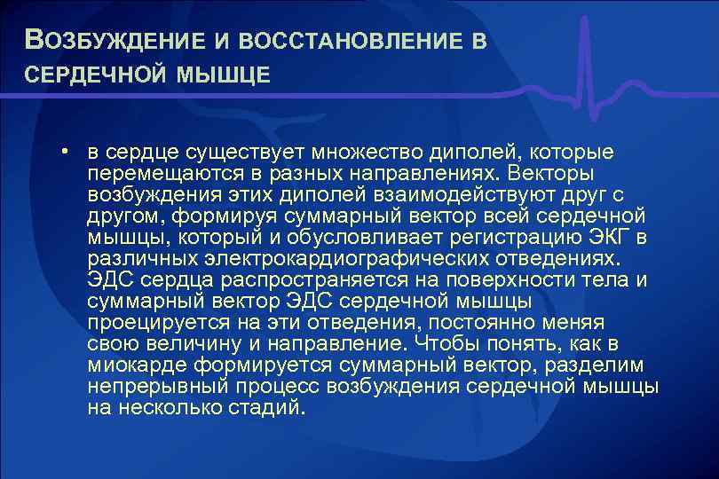 ВОЗБУЖДЕНИЕ И ВОССТАНОВЛЕНИЕ В СЕРДЕЧНОЙ МЫШЦЕ • в сердце существует множество диполей, которые перемещаются