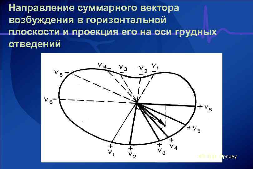 Направление суммарного вектора возбуждения в горизонтальной плоскости и проекция его на оси грудных отведений