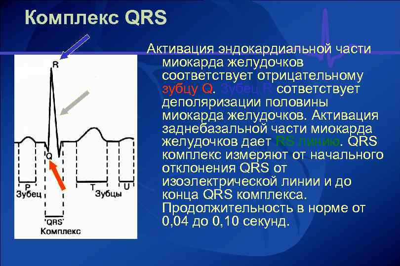 Qrs на экг что это