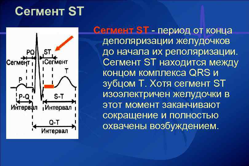 St на экг. ЭКГ деполяризация и реполяризация. ЭКГ QRS деполяризация. Деполяризацию миокарда желудочков отражает на ЭКГ. Ст сегмент в кардиограмме.