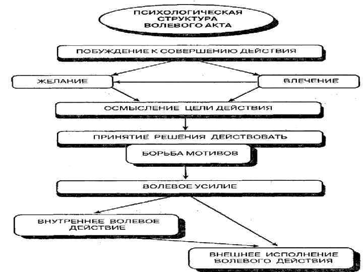 Структура волевого акта в психологии схема