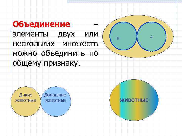 Объединение – элементы двух или нескольких множеств можно объединить по общему признаку. Дикие животные