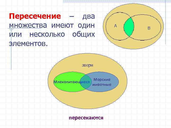 Пересечение – два множества имеют один или несколько общих элементов. звери Млекопитающиеся Морские животные