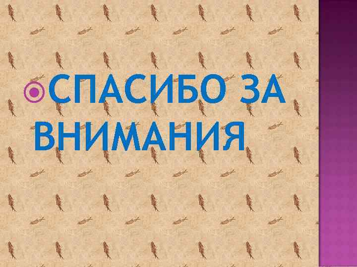  СПАСИБО ЗА ВНИМАНИЯ 