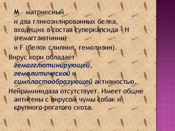 М – матриксный - и два гликозилированных белка, входящих в состав суперкапсида – Н