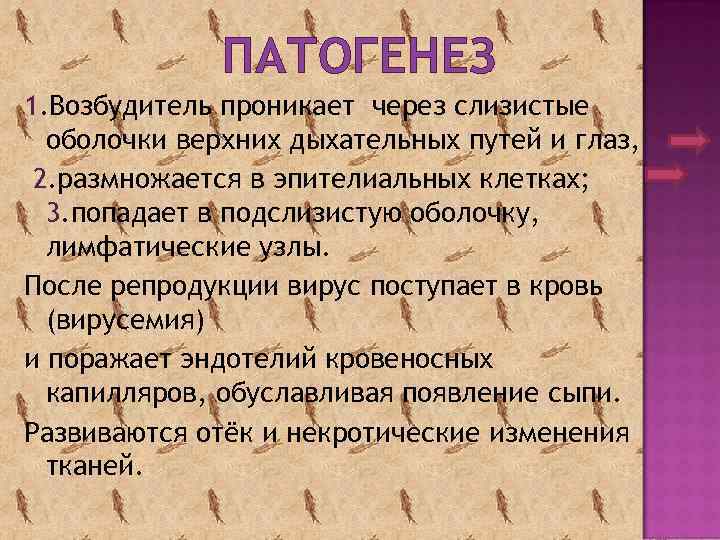 ПАТОГЕНЕЗ 1. Возбудитель проникает через слизистые оболочки верхних дыхательных путей и глаз, 2. размножается