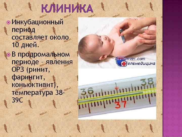 КЛИНИКА Инкубационный период составляет около 10 дней. В продромальном периоде – явления ОРЗ (ринит,