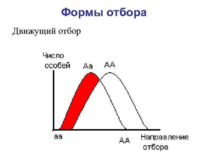 Движущий отбор это