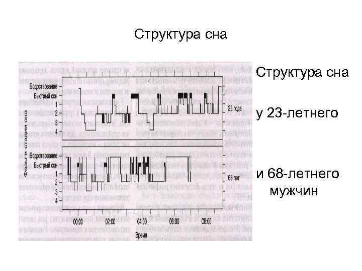 Структура сна у 23 -летнего и 68 -летнего мужчин 