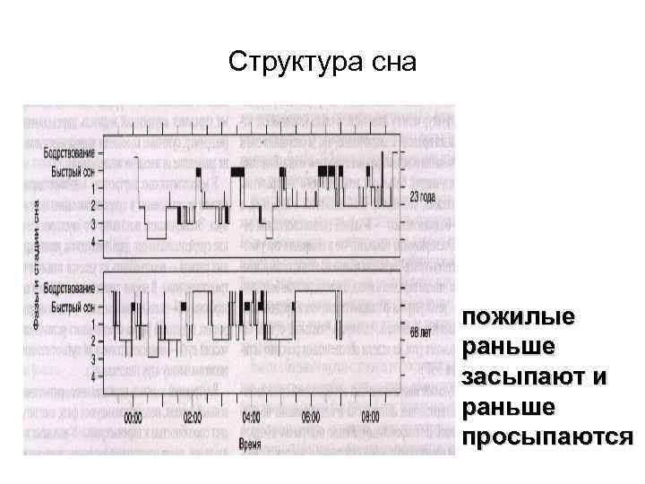 Структура сна пожилые раньше засыпают и раньше просыпаются 