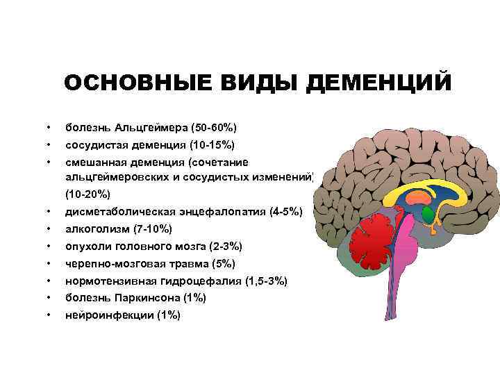 ОСНОВНЫЕ ВИДЫ ДЕМЕНЦИЙ • болезнь Альцгеймера (50 -60%) • сосудистая деменция (10 -15%) •