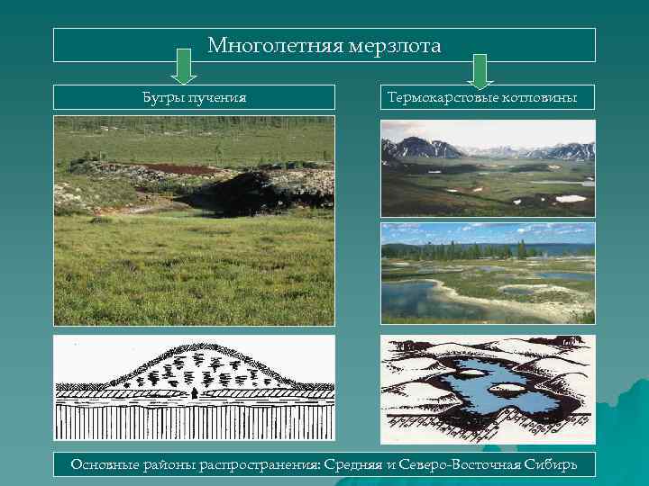 Рельеф созданный посредством деятельности многолетней мерзлоты. Многолетняя мерзлота Бугры пучения. Восточная Сибирь Бугры пучения. Бугры пучения, термокарстовые озера. Термокарст Бугры пучения.