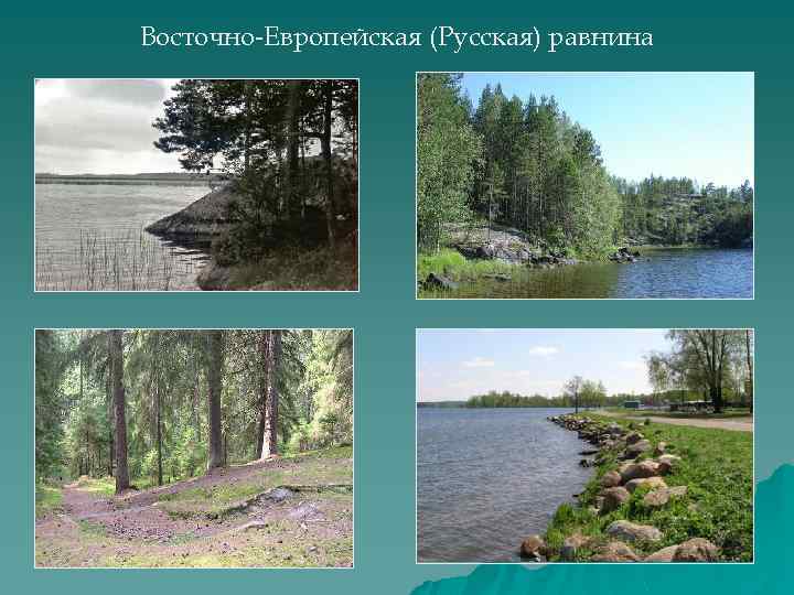 Рельеф русской равнины