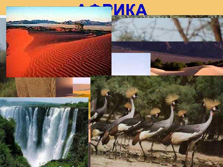 АФРИКА 