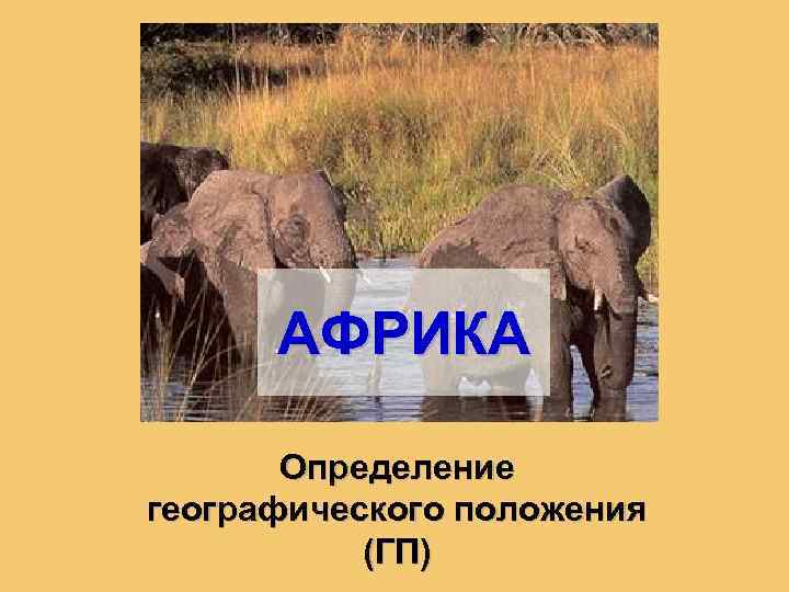 АФРИКА Определение географического положения (ГП) 