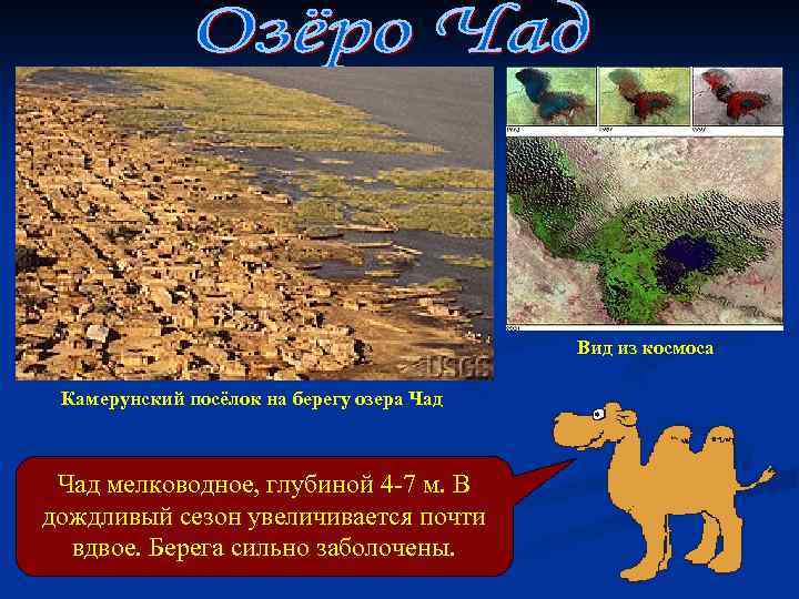 Вид из космоса Камерунский посёлок на берегу озера Чад мелководное, глубиной 4 -7 м.