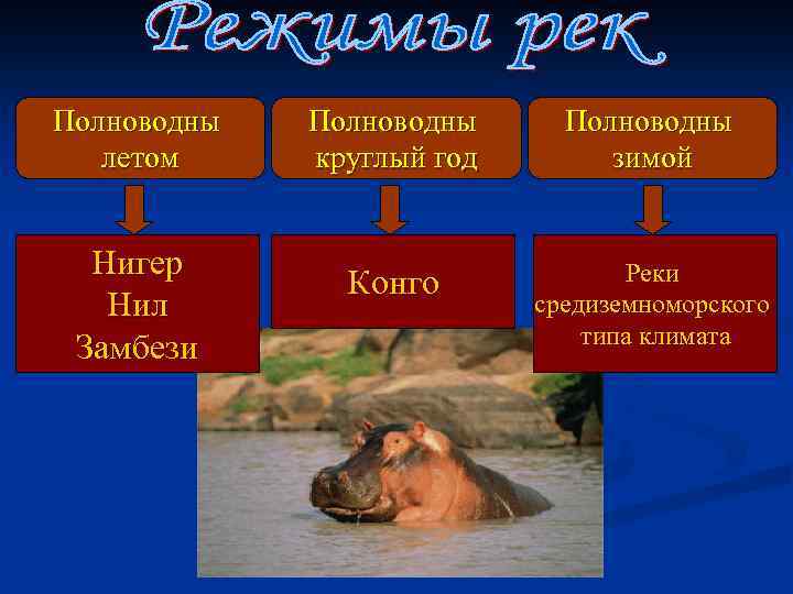 Полноводны летом Нигер Нил Замбези Полноводны круглый год Полноводны зимой Конго Реки средиземноморского типа