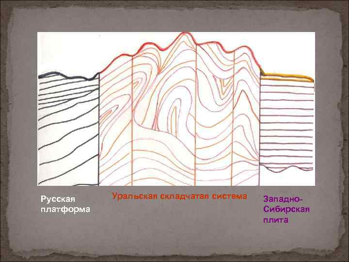 Русская платформа Уральская складчатая система Западно. Сибирская плита 