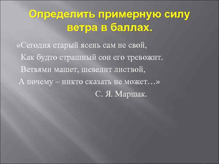 Определить примерную силу ветра в баллах. «Сегодня старый ясень сам не свой, Как будто