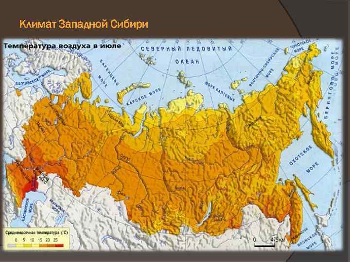 Климат Западной Сибири 