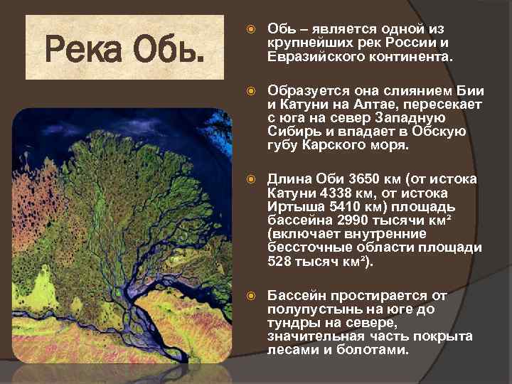 Река Обь – является одной из крупнейших рек России и Евразийского континента. Образуется она