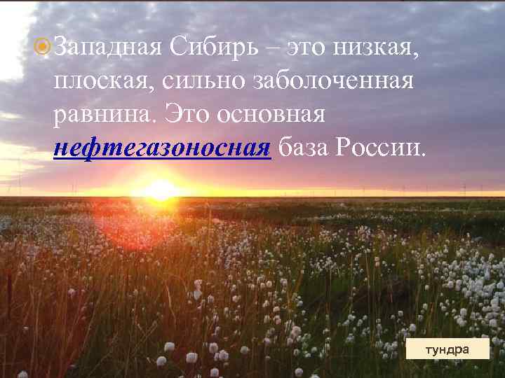  Западная Сибирь – это низкая, плоская, сильно заболоченная равнина. Это основная нефтегазоносная база