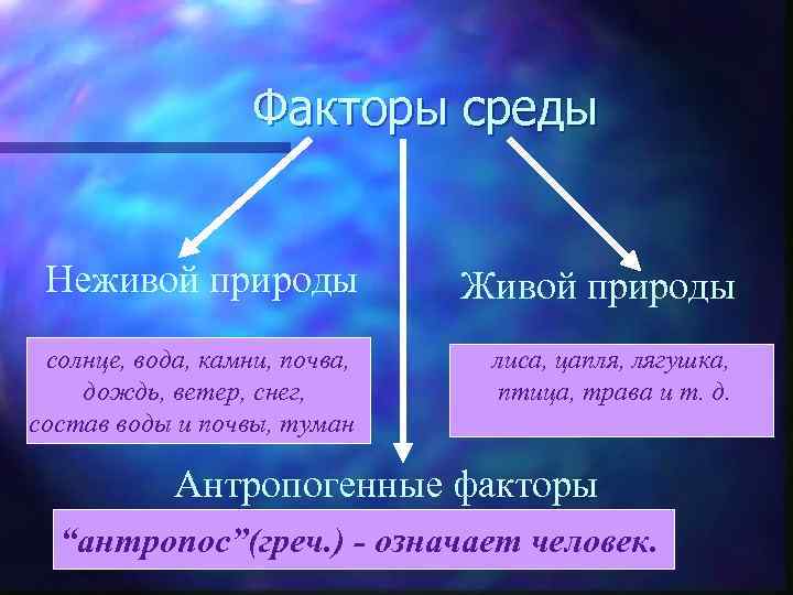 Факторы среды Неживой природы Живой природы солнце, вода, камни, почва, дождь, ветер, снег, состав